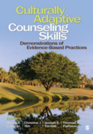 Culturally Adaptive Counseling Skills