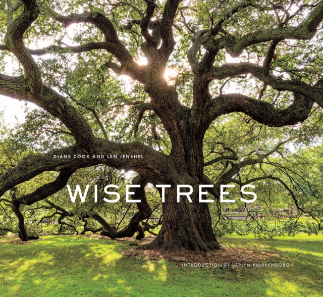 Book cover of: Wise Trees. By: Diane Cook