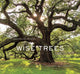 Book cover of: Wise Trees. By: Diane Cook