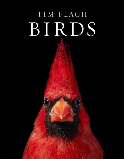 Book cover of: Birds. By: FLACH, TIM