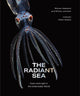 Book cover of: Radiant Sea