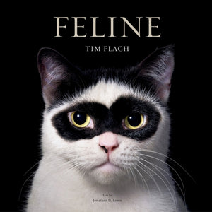 Feline, Photographs