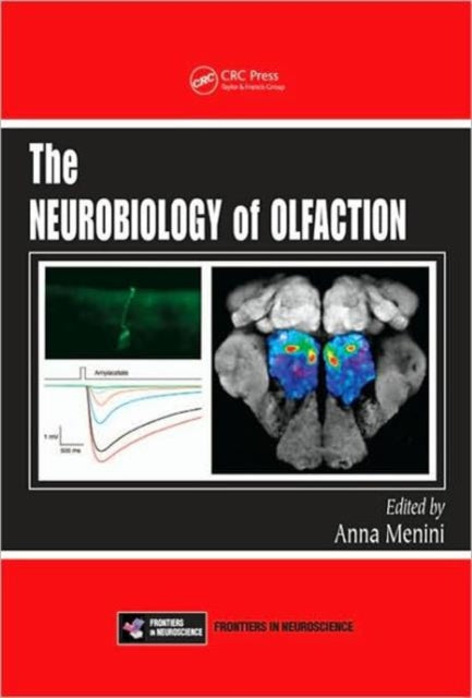 Book cover of: Neurobiology of Olfaction. By: Anna Menini