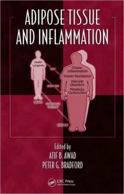 Book cover of: Adipose Tissue and Inflammation