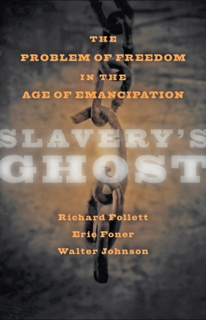 Book cover of: Slavery's Ghost. By: Richard J. Follett