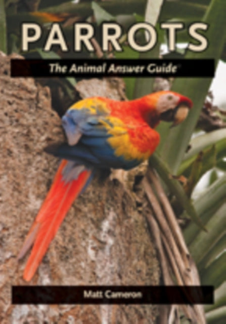 Book cover of: Parrots. By: Matt Cameron
