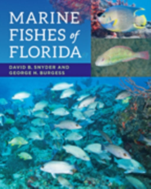 Book cover of: Marine Fishes of Florida. By: David B. Snyder