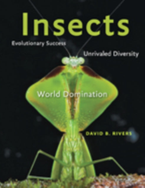 Book cover of: Insects. By: David B. Rivers