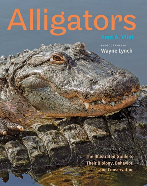Book cover of: Alligators. By: Kent A. Vliet