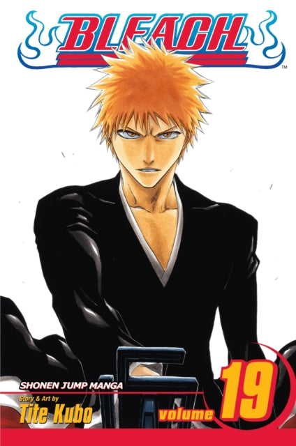 Bleach, kd 19