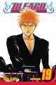 Bleach, kd 19