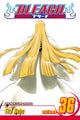 Bleach, kd 36