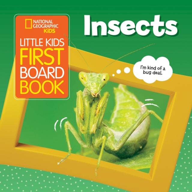 Book cover of: Little Kids First Board Book Insects