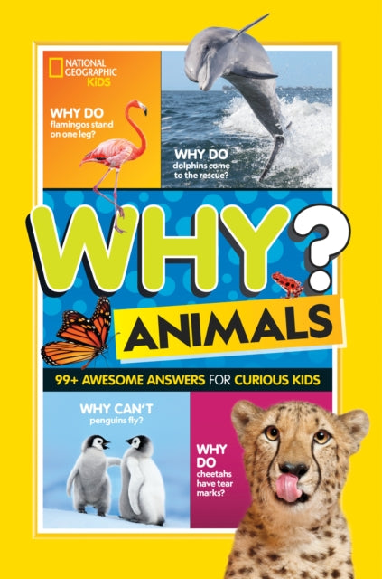 Book cover of: Why? Animals. By: Julie Beer