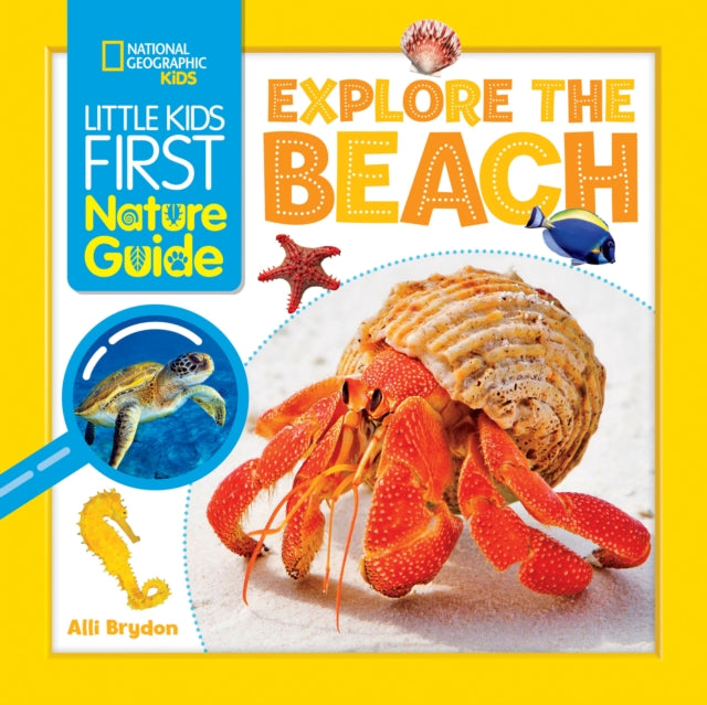 Explore the Beach 9781426373688 Alli Brydon