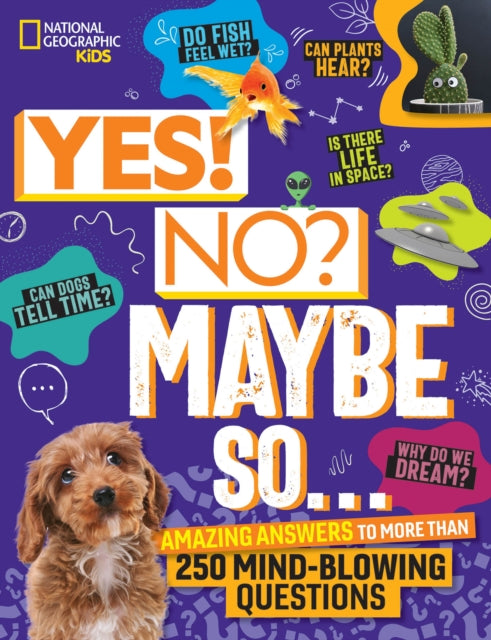 Book cover of: Yes! No? Maybe So.... By: Julie Beer