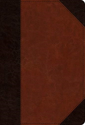 ESV Student Study Bible