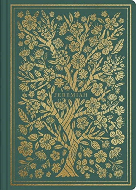 Book cover of: ESV Illuminated Scripture Journal