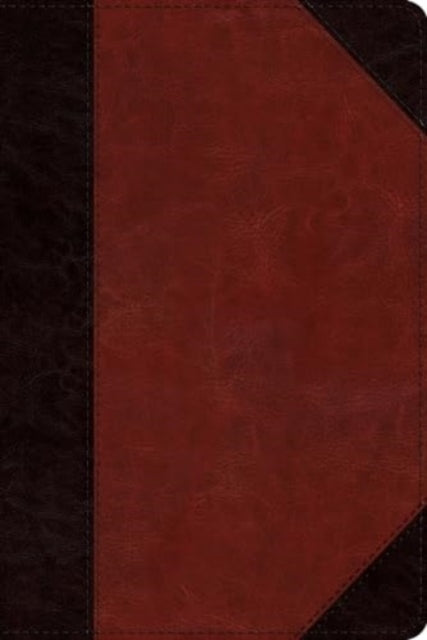 Book cover of: ESV Study Bible, Personal Size. By: T. Desmond Alexander