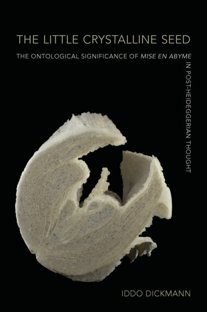 Book cover of: Little Crystalline Seed. By: Iddo Dickmann
