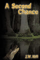 Book cover of: Second Chance