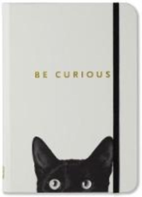 SM CURIOUS CAT JOURNAL