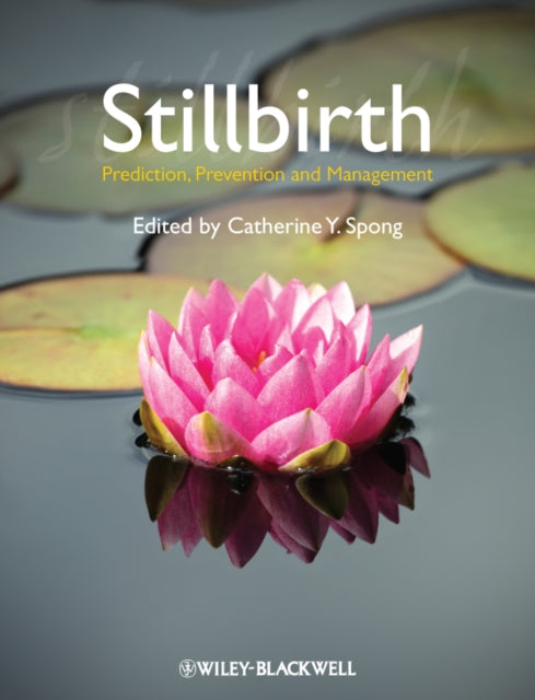 Book cover of: Stillbirth. By: Catherine Y. Spong