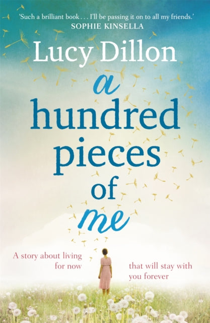 Book cover of: Hundred Pieces of Me