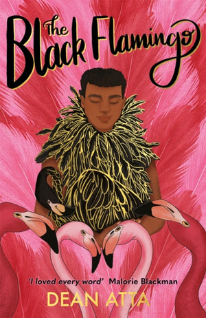 Black Flamingo, The much loved, award-winning, queer coming-of-age story