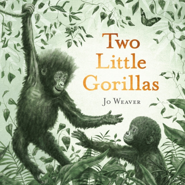 Two Little Gorillas 9781444973938 Jo Weaver