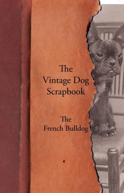 Book cover of: Vintage Dog Scrapbook - The French Bulldog