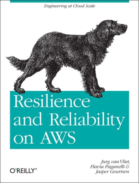 Book cover of: Resilience and Reliability on AWS