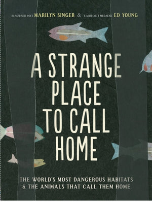 Strange Place to Call Home