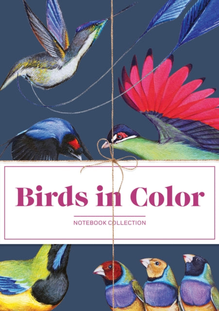 Book cover of: Birds in Color Notebooks