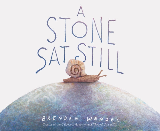 Book cover of: Stone Sat Still