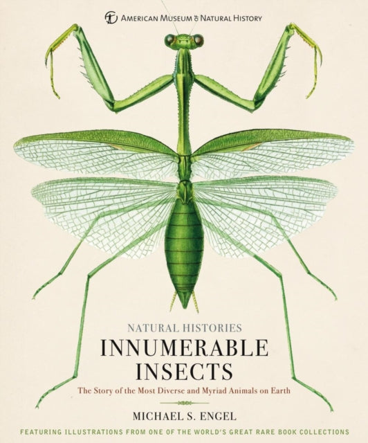 Book cover of: Innumerable Insects. By: Michael S. Engel