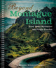 Book cover of: Beyond Montague Island: Even More Mysteries and Logic Puzzles. By: R. Wayne Schmittberger