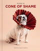 Book cover of: Cone of Shame. By: Winnie Au
