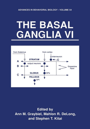 The Basal Ganglia VI