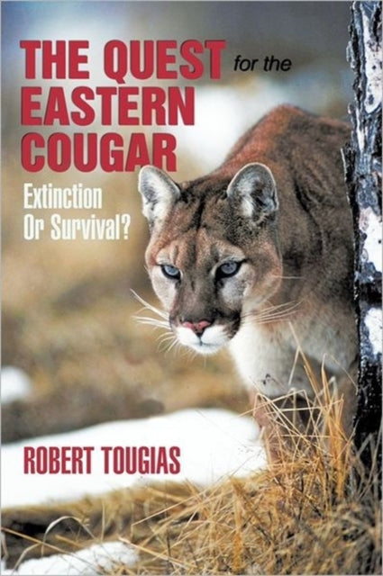 Book cover of: Quest For The Eastern Cougar