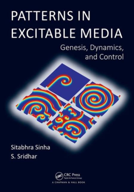 Book cover of: Patterns in Excitable Media. By: S. Sridhar