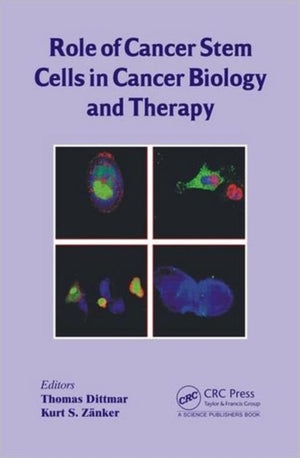 Role of Cancer Stem Cells in Cancer Biology and Therapy