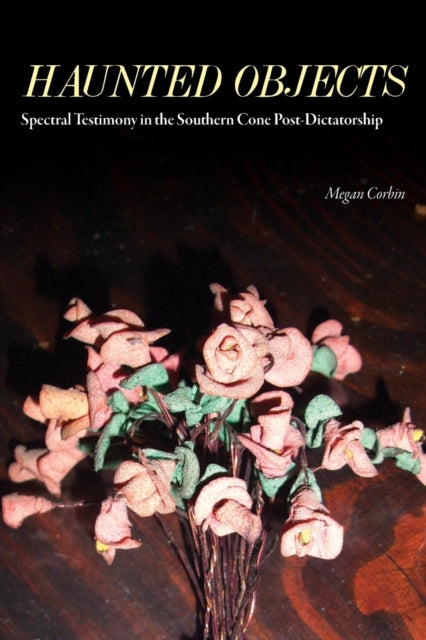 Book cover of: Haunted Objects. By: Megan Corbin