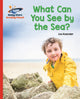 Book cover of: Reading Planet - What Can You See by the Sea? - Red B: Galaxy. By: Lou Kuenzler