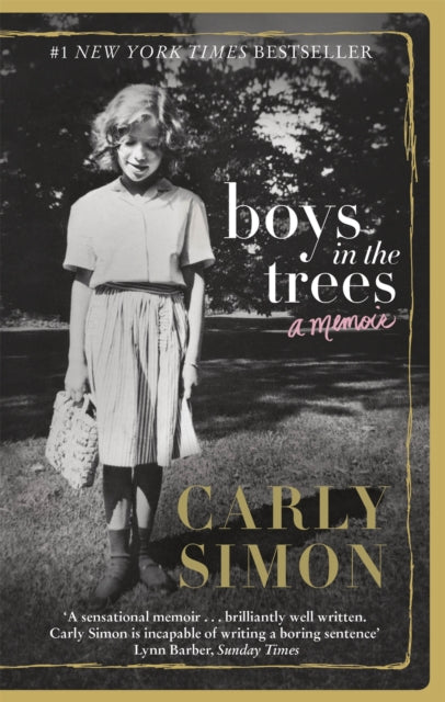 Book cover of: Boys in the Trees. By: Carly Simon