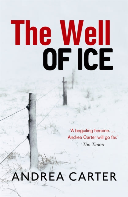 Book cover of: Well of Ice. By: Andrea Carter