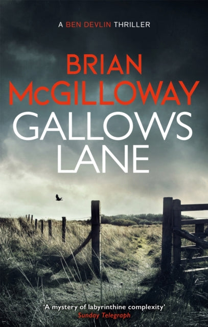 Book cover of: Gallows Lane. By: Brian McGilloway
