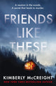Book cover of: Friends Like These. By: Kimberly McCreight