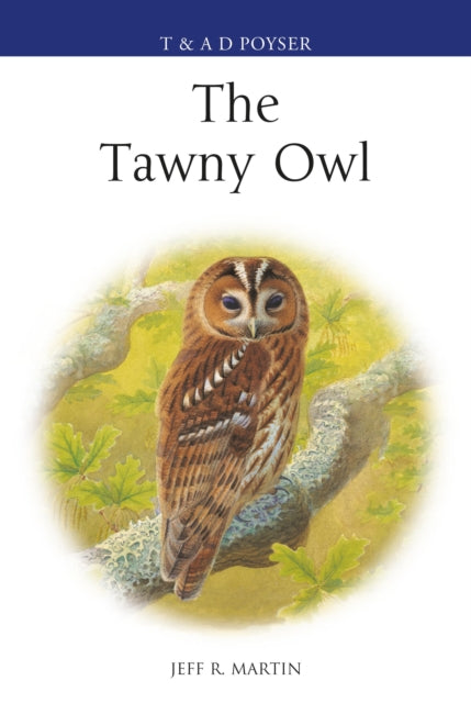 Book cover of: Tawny Owl. By: Jeff Martin