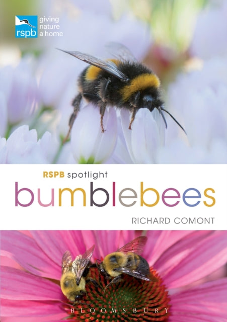 Book cover of: RSPB Spotlight Bumblebees. By: Richard Comont